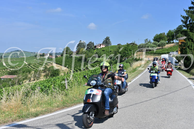 dsc_8086-standard-8ldesa.jpg