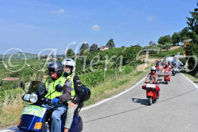 dsc_8091-standard-sxx2c5.jpg