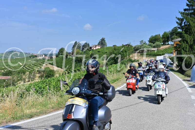 dsc_8102-standard-4ytbsn.jpg