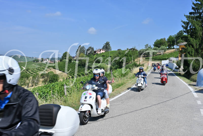 dsc_8109-standard-iwwou6.jpg