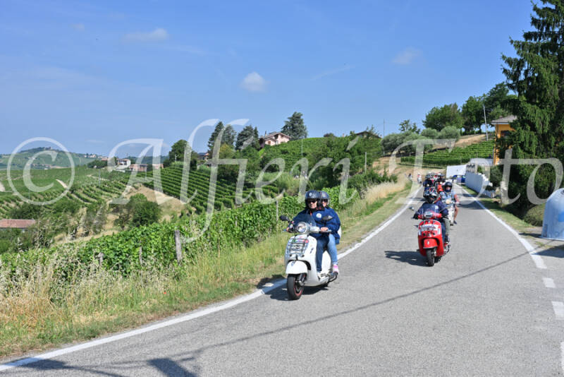 dsc_8112-standard-e1e8zy.jpg