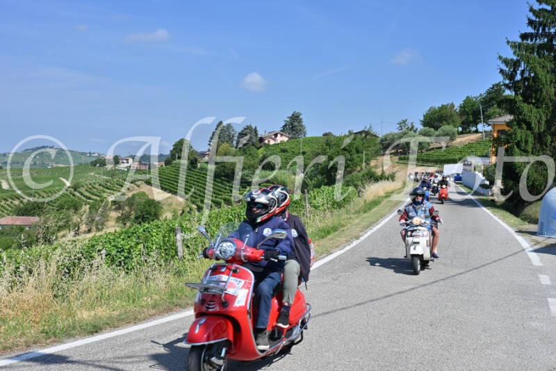 dsc_8116-standard-ymq3vk.jpg