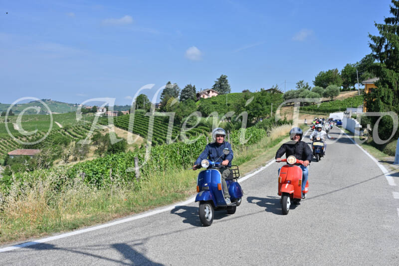 dsc_8125-standard-n5algi.jpg