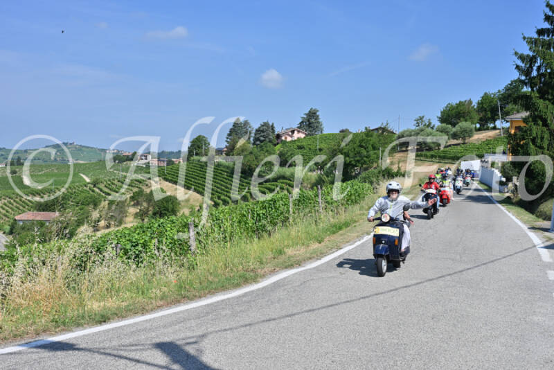 dsc_8128-standard-hph3mq.jpg