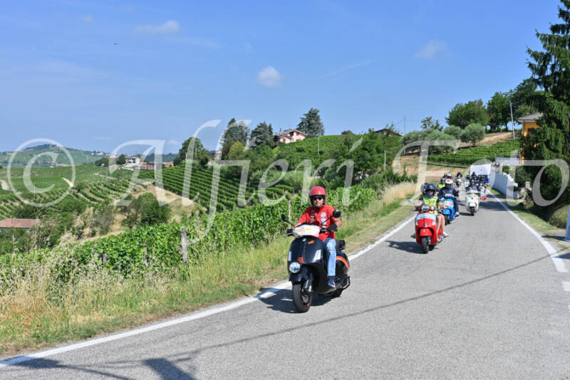 dsc_8133-standard-zew5eg.jpg