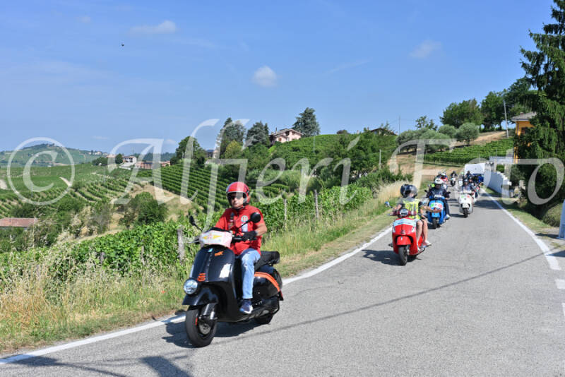 dsc_8134-standard-mbplgp.jpg