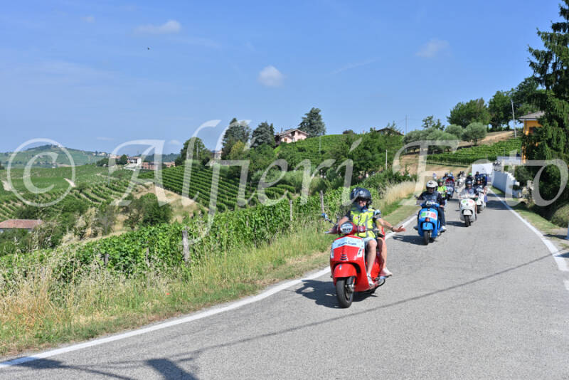 dsc_8136-standard-ptzqhx.jpg