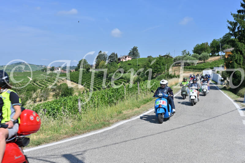 dsc_8139-standard-utppro.jpg