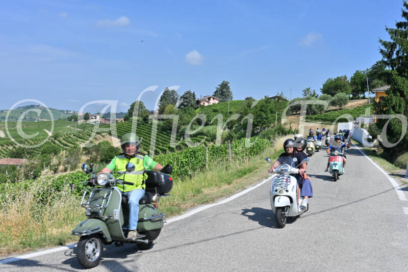 dsc_8145-standard-2xzfhf.jpg