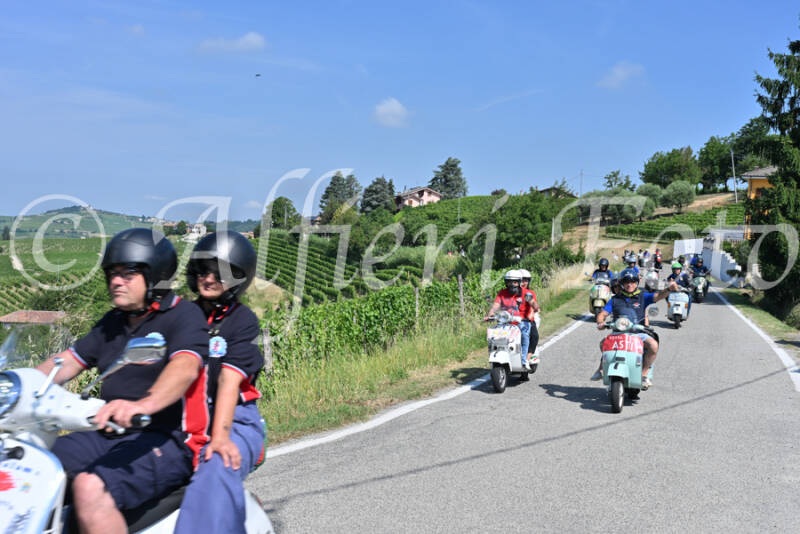 dsc_8148-standard-o7hf9h.jpg