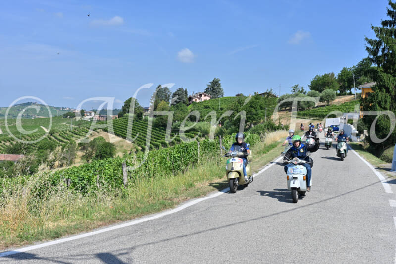 dsc_8153-standard-8khbj8.jpg