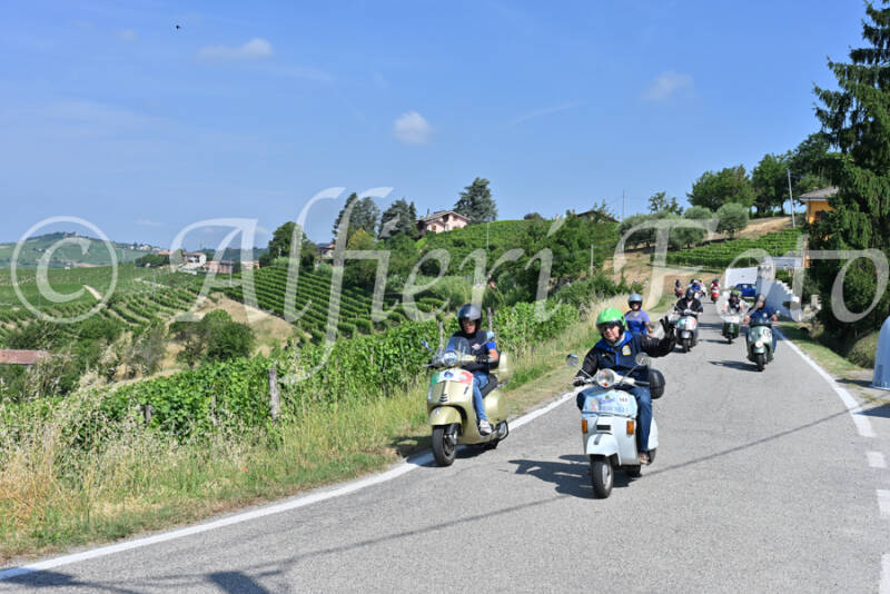 dsc_8154-standard-g0jnm7.jpg