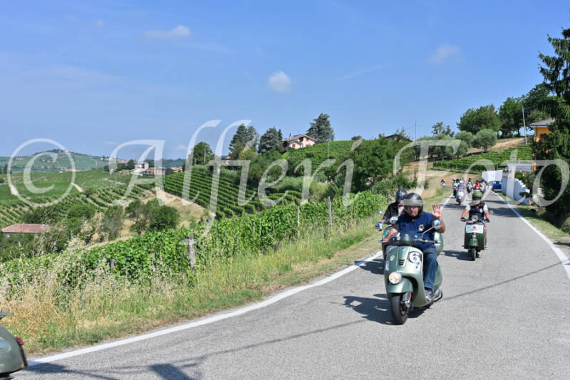 dsc_8161-standard-b0mhon.jpg