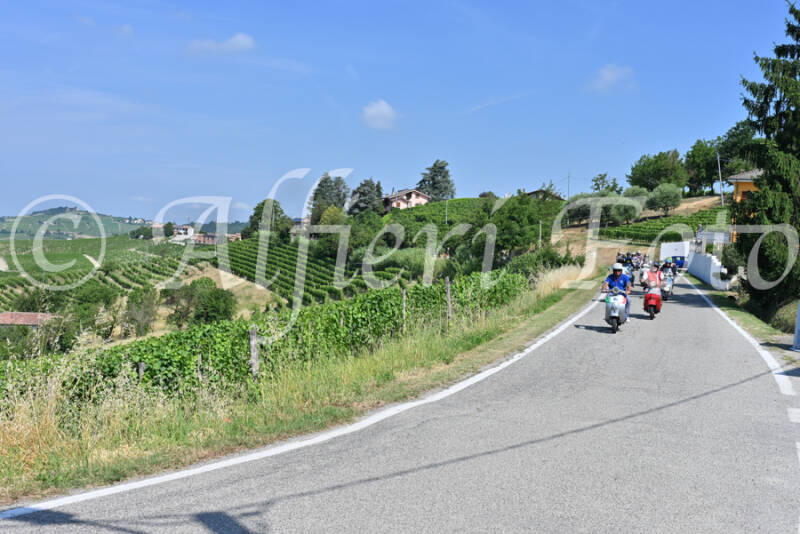 dsc_8171-standard-pc9o4p.jpg