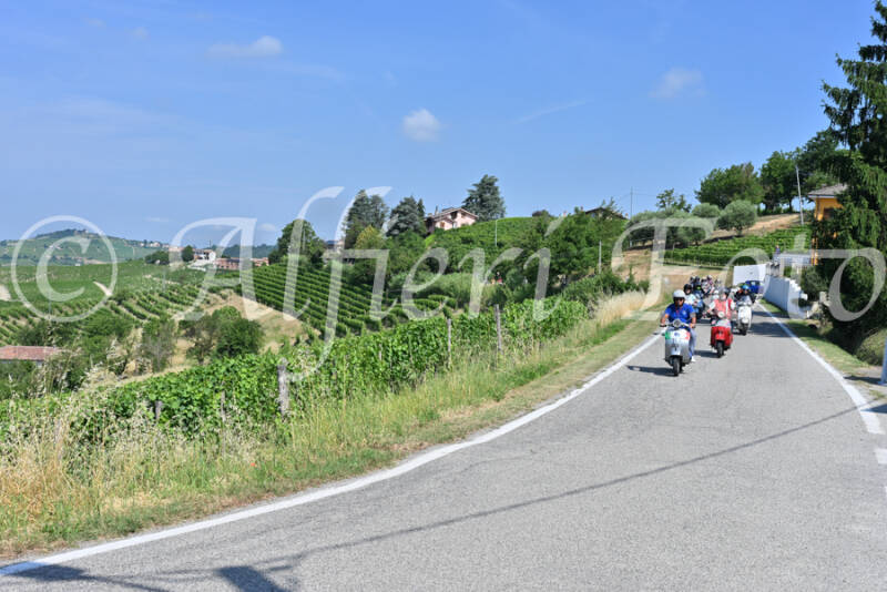 dsc_8172-standard-gns3ik.jpg