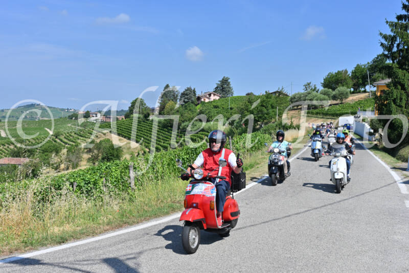 dsc_8178-standard-508vja.jpg