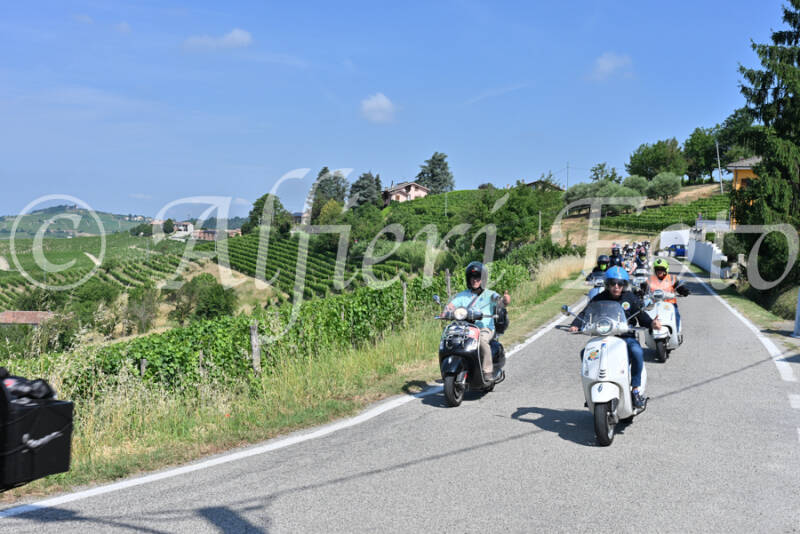 dsc_8180-standard-h80ys1.jpg