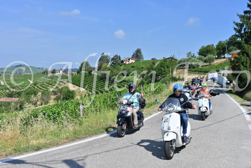 dsc_8181-standard-oqxyvk.jpg
