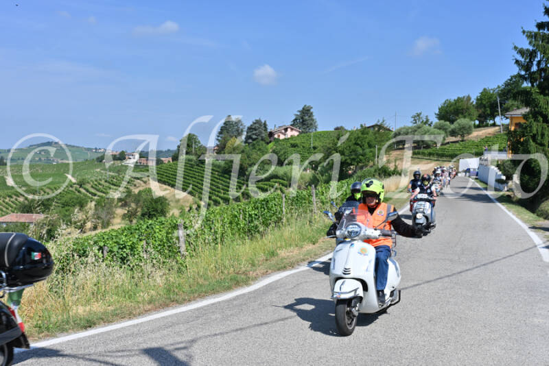 dsc_8184-standard-0b11kj.jpg