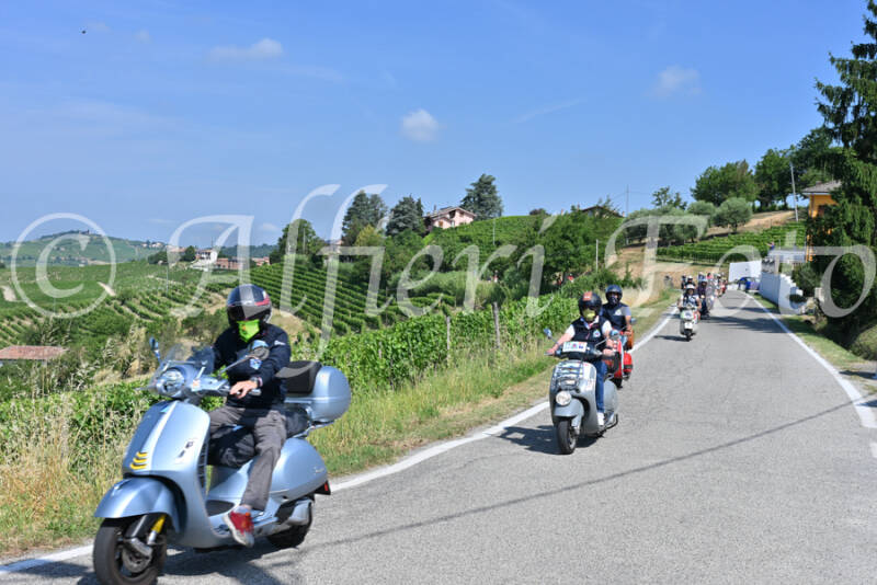 dsc_8187-standard-vjkluq.jpg