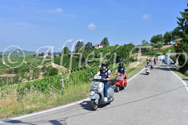 dsc_8189-standard-o47alm.jpg