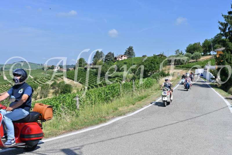 dsc_8193-standard-s7rs1d.jpg