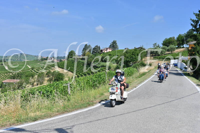 dsc_8195-standard-dd6mbx.jpg