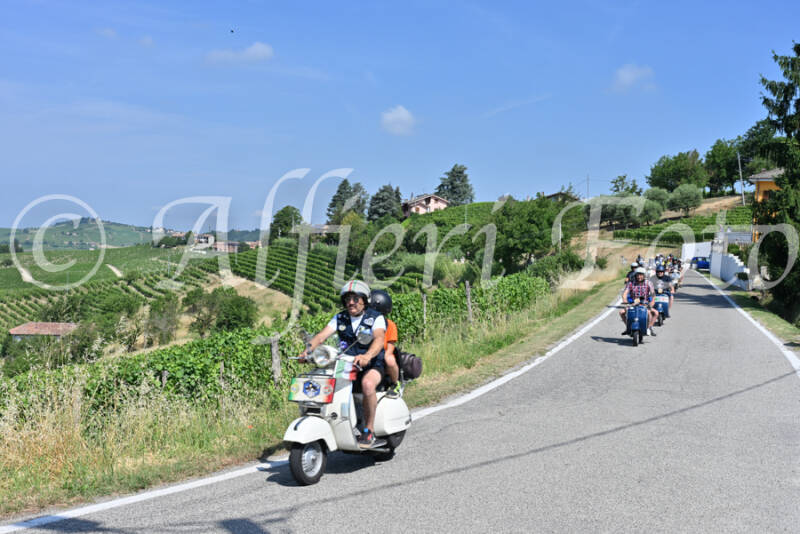 dsc_8196-standard-p1agnv.jpg