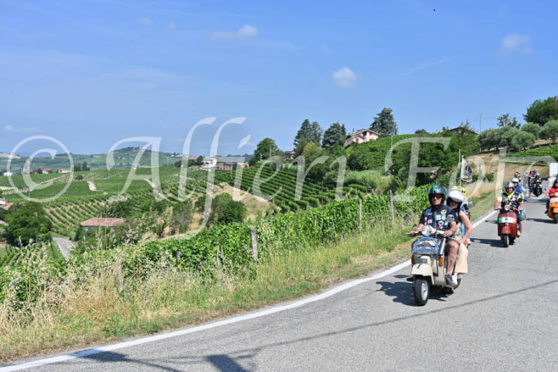 dsc_8209-standard-fh11fg.jpg