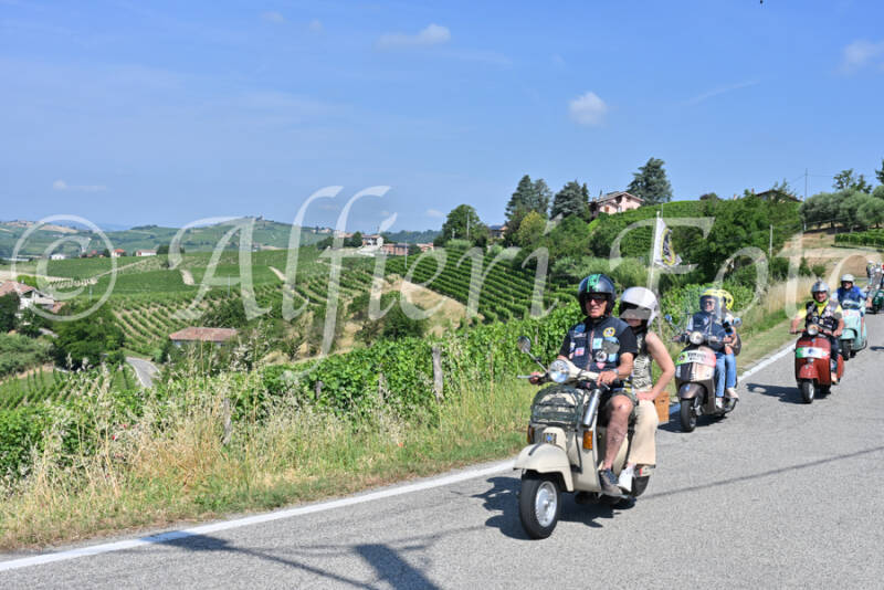 dsc_8210-standard-1cqpjc.jpg
