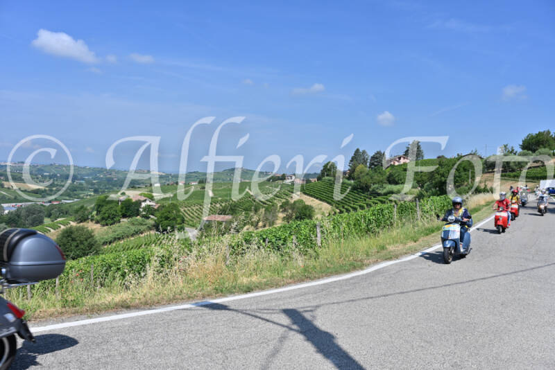 dsc_8232-standard-2tvfme.jpg