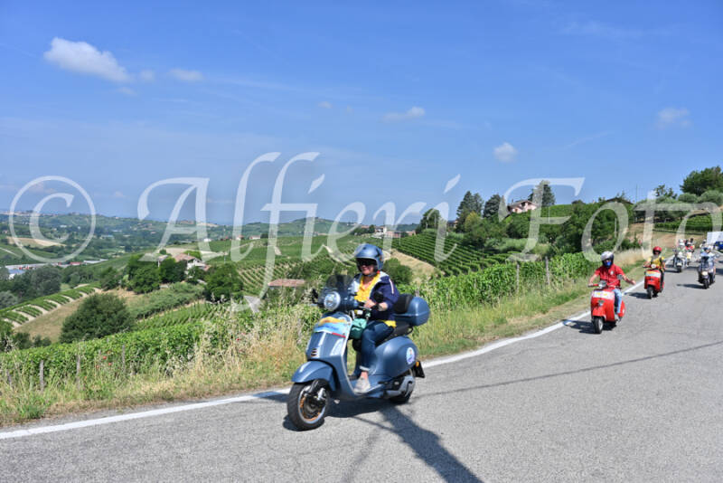 dsc_8235-standard-31dxjb.jpg