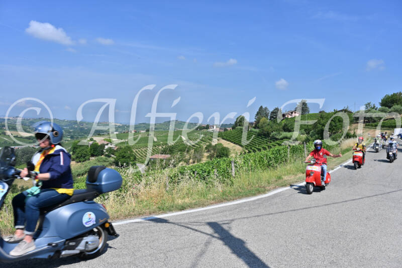 dsc_8236-standard-av84nq.jpg