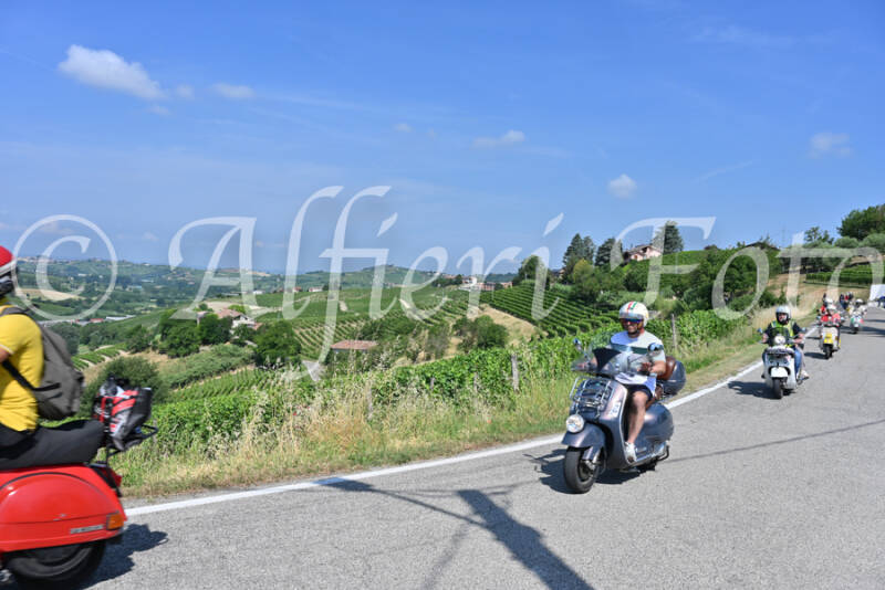 dsc_8244-standard-6fc3ms.jpg