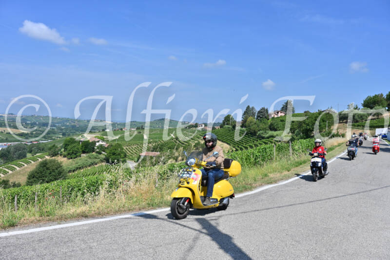dsc_8266-standard-tdaw2q.jpg