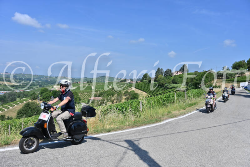 dsc_8277-standard-7b2c22.jpg