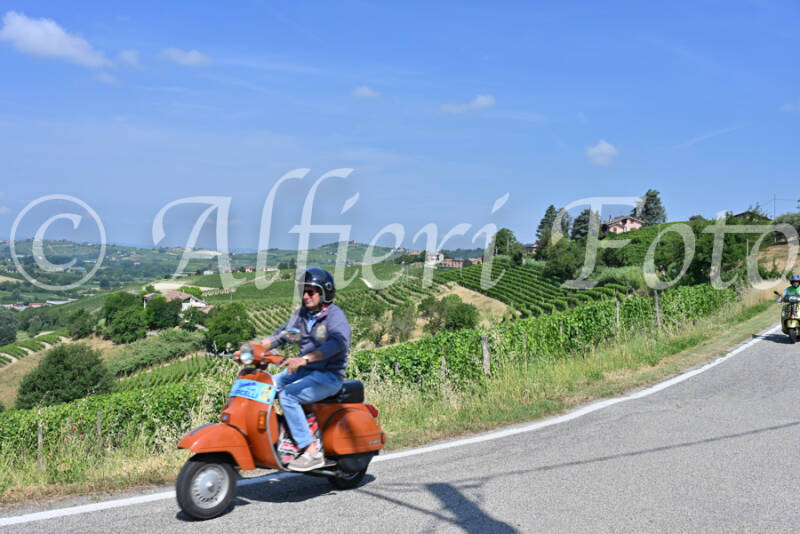 dsc_8294-standard-22lzxs.jpg