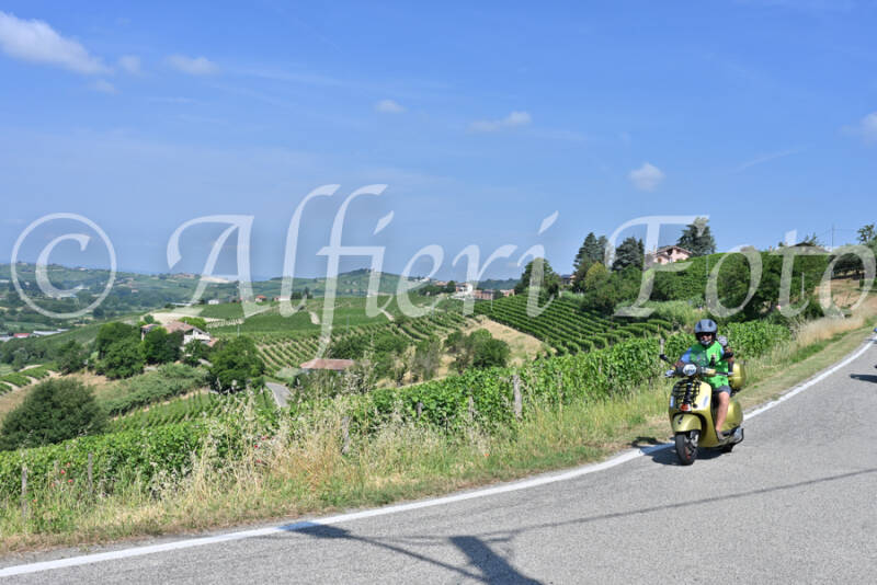 dsc_8296-standard-nszr4y.jpg