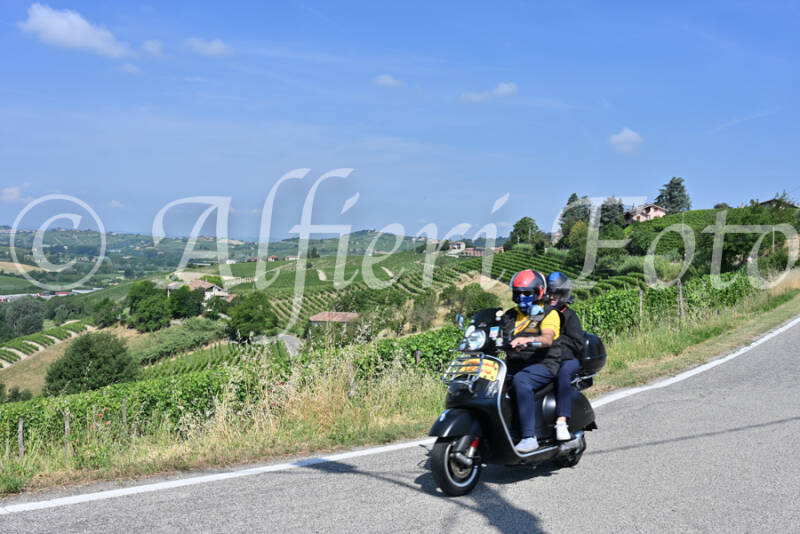 dsc_8301-standard-seor2n.jpg