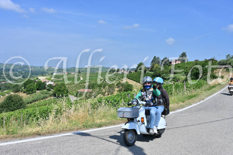 dsc_8305-standard-ccrlfk.jpg