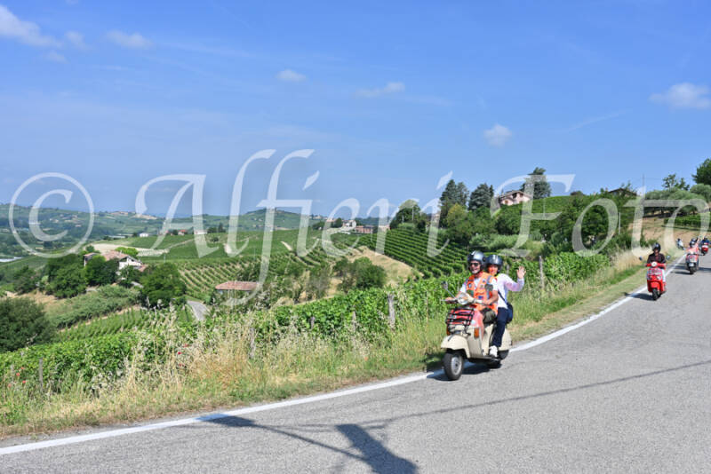 dsc_8319-standard-br3hoq.jpg
