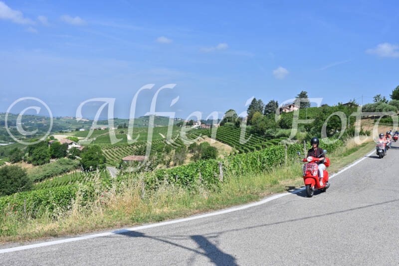 dsc_8323-standard-yt1r7a.jpg