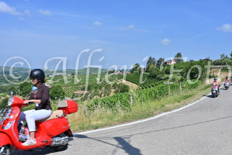 dsc_8325-standard-gofsrm.jpg