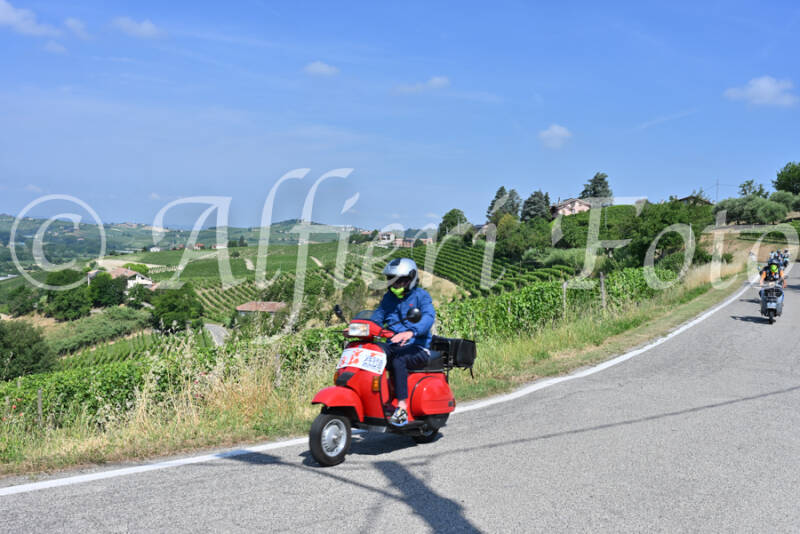 dsc_8336-standard-lco3tk.jpg