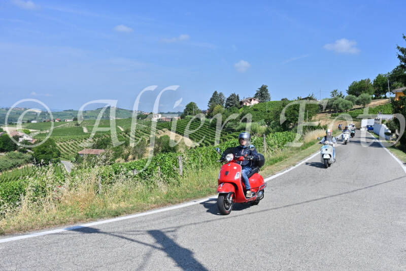 dsc_8344-standard-zgsm8s.jpg