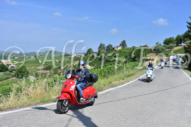 dsc_8345-standard-uij2qq.jpg