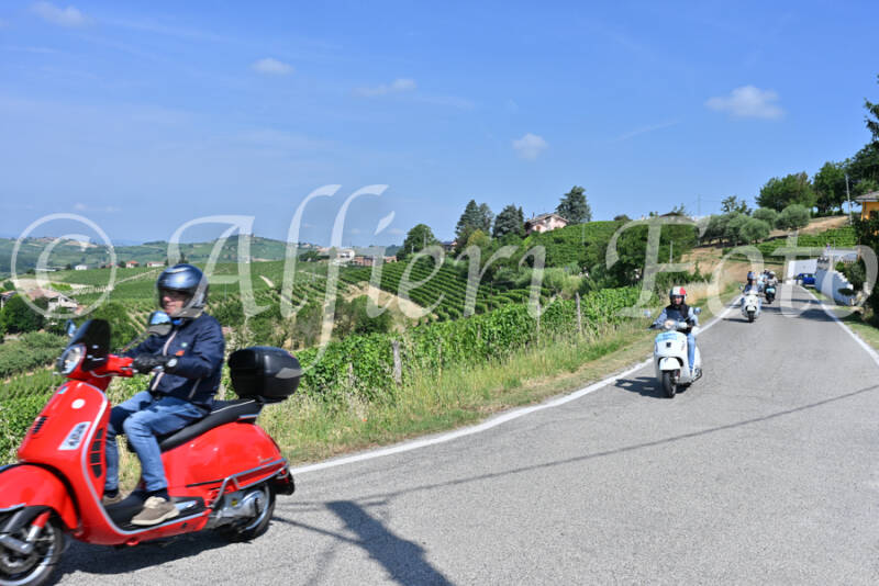 dsc_8346-standard-if8ofb.jpg