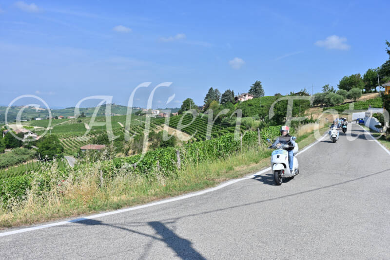 dsc_8347-standard-883sgk.jpg