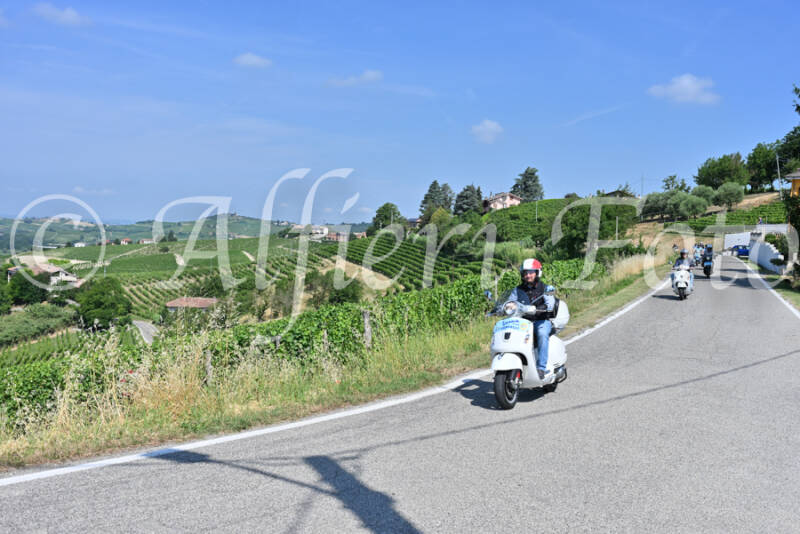 dsc_8348-standard-ehmlwr.jpg