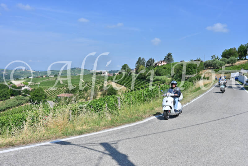 dsc_8350-standard-ut7kvx.jpg